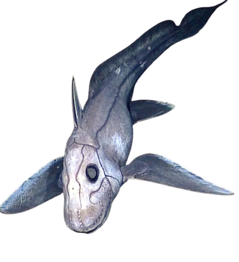 Chiméra (přízračný žralok)